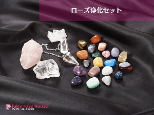 ローズ浄化セットTF-RJ-2（アクリルケースおまかせBOX全26ヶ入り）￥29,800